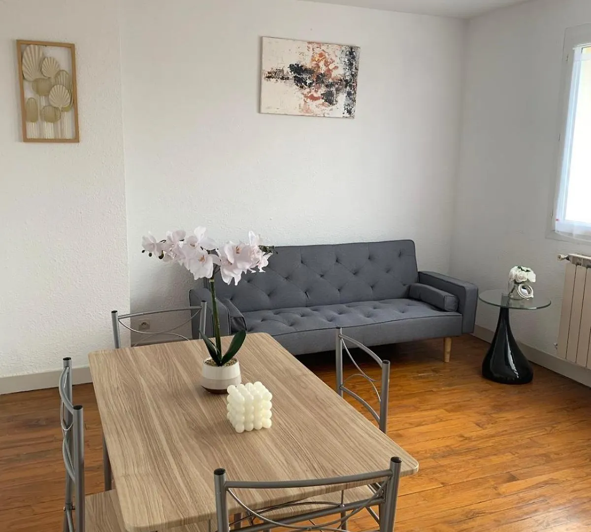 Appartement Cosy Vue Sur La Cathedrale Albi